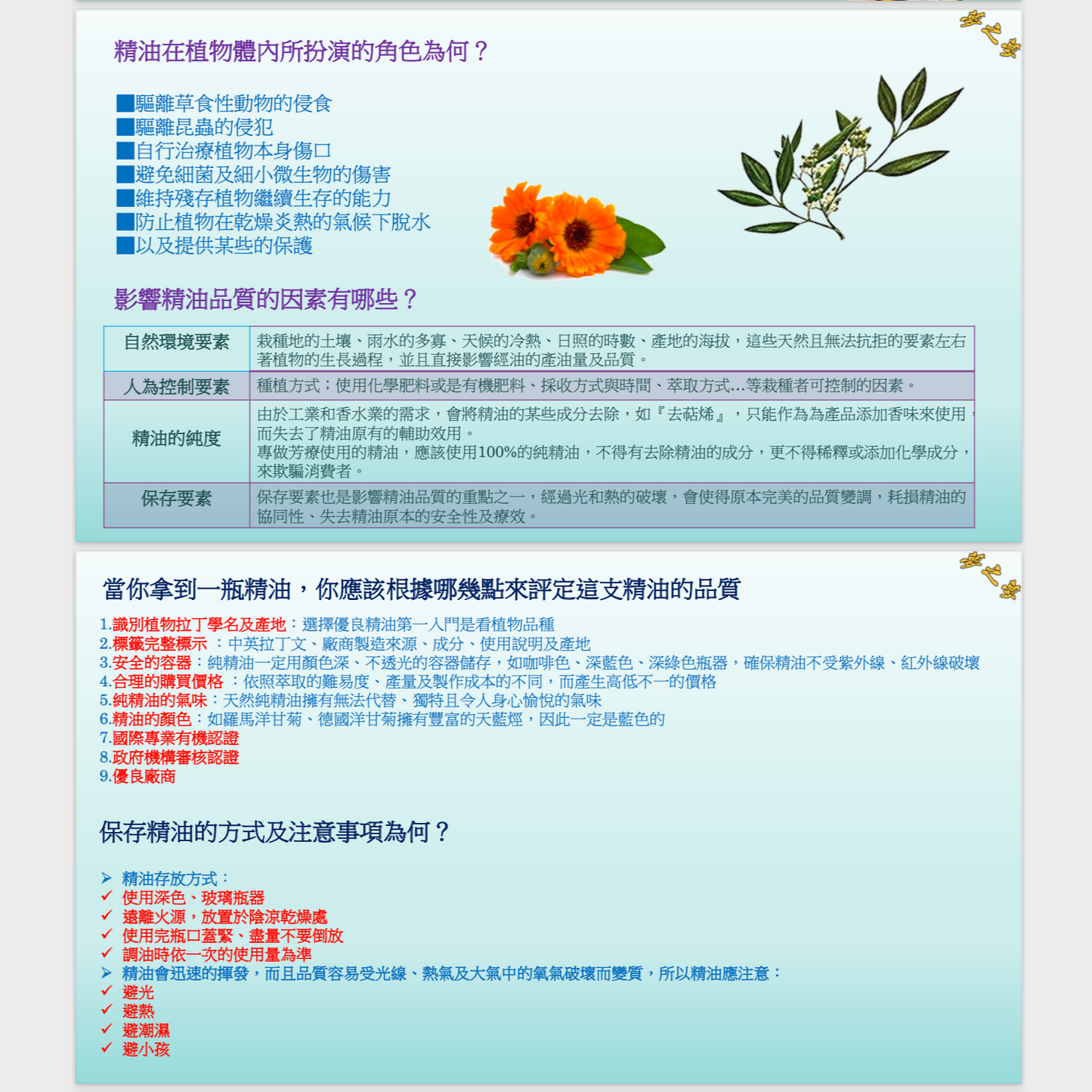 芳香療法攻略