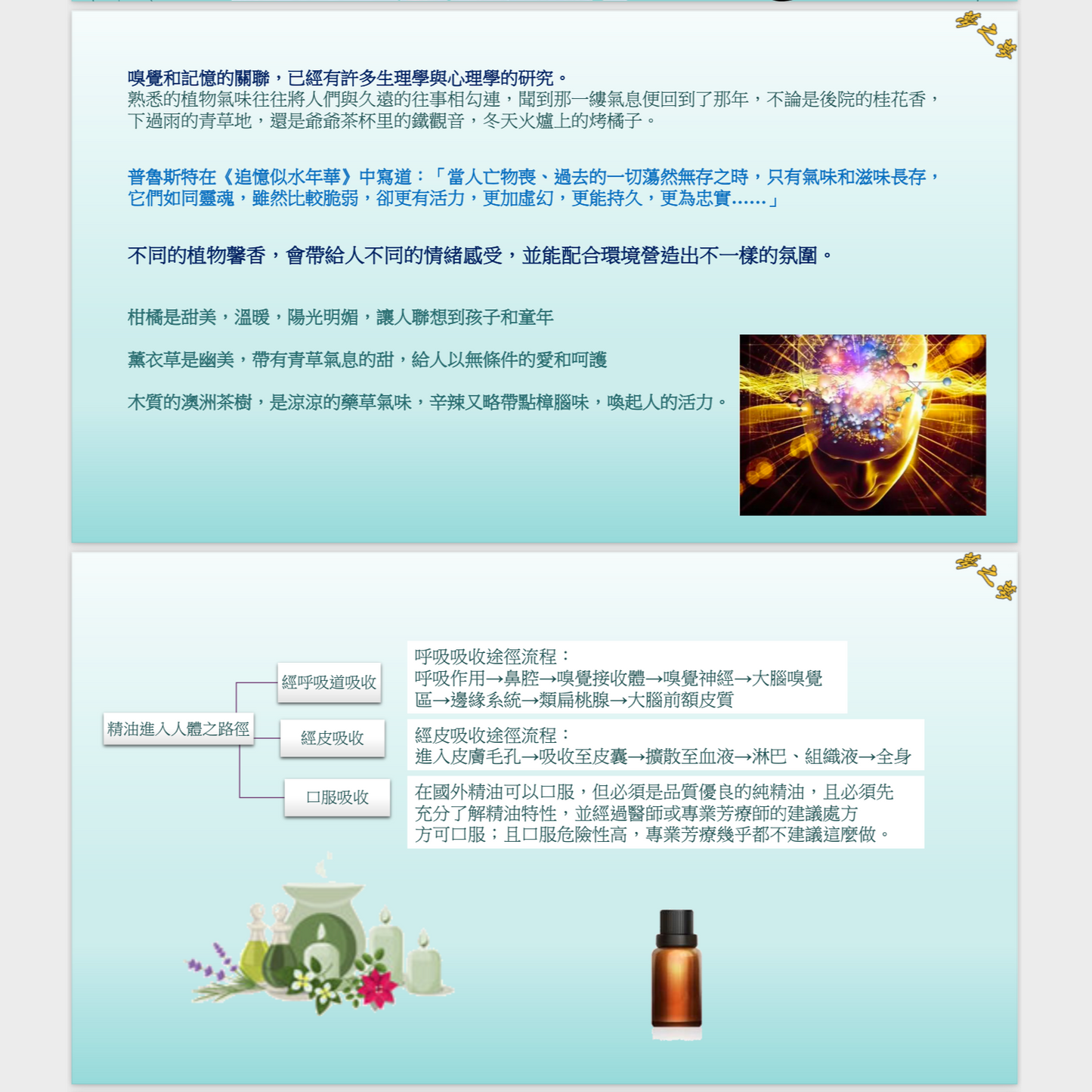 芳香療法攻略